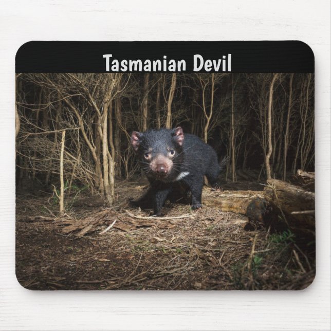 Mousepad O Diabo da Tasmânia na Austrália (Frente)