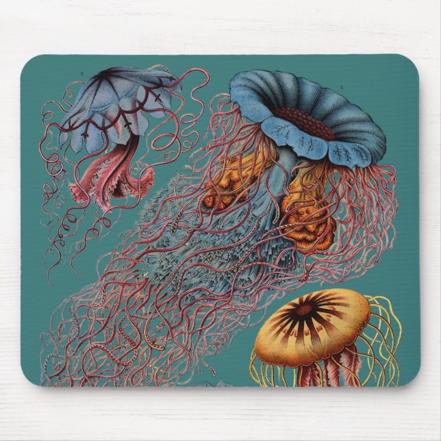 Mousepad O disco Medusae de Ernst Haeckel (Frente)