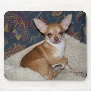 Mousepad O doce Charlie Chihuahua