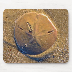 Mousepad O dólar de areia revelou na praia Hilton Head