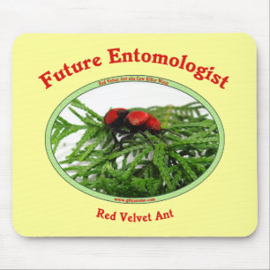 Mousepad O entomologista futuro ama insetos