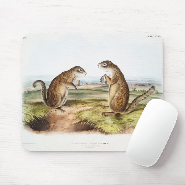 Mousepad O Esquilo Marmot do Franklin acampando os presente (Com mouse)