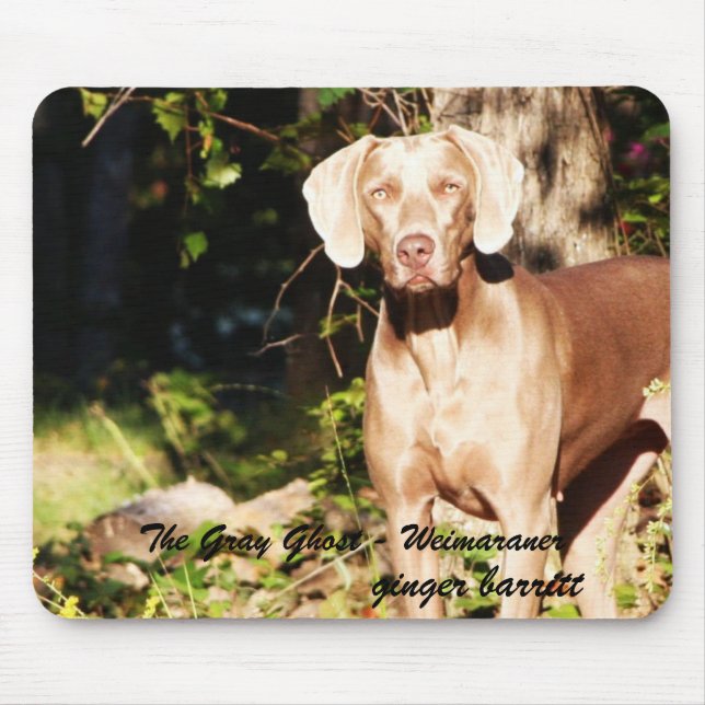 Mousepad O fantasma cinzento - Weimaraner, gengibre… (Frente)