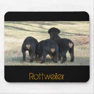 Mousepad O filhote de cachorro cronometra três