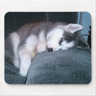 Mousepad O filhote de cachorro dorme tapete do rato