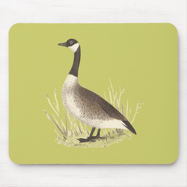 Mousepad O Ganso Selvagem (Anser canadensis) (Frente)