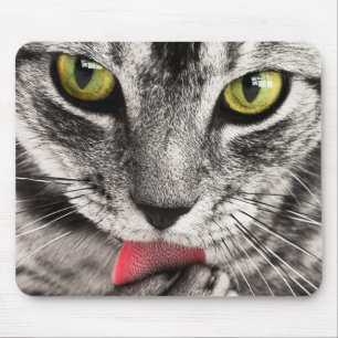 Mousepad O gatinho lambe