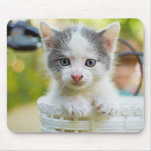 Mousepad O gatinho monta uma bicicleta