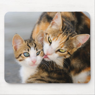Mousepad O gato da mãe ama o gatinho bonito