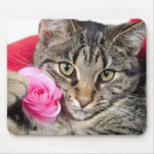 Mousepad O gato de gato malhado bonito com aumentou
