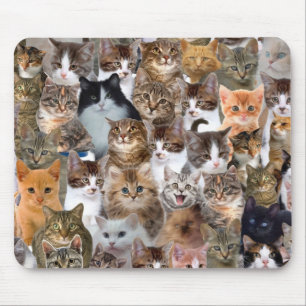Mousepad O gato enfrenta o teste padrão