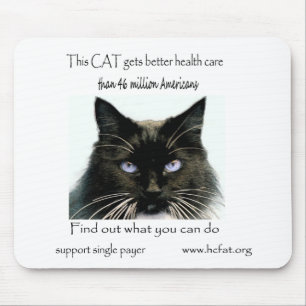 Mousepad O gato obtem melhores cuidados médicos