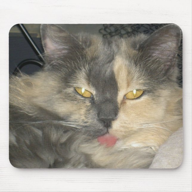 Mousepad O gato obteve sua língua (Frente)