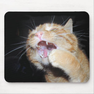 Mousepad O gato quer o rato