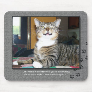 Mousepad O gato responsabiliza o cão