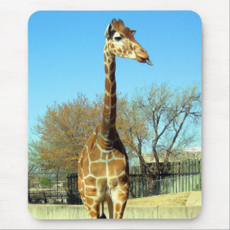 Mousepad O GIRAFA que COLA O é LÍNGUA PARA FORA