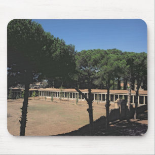 Mousepad O grande Palaestra
