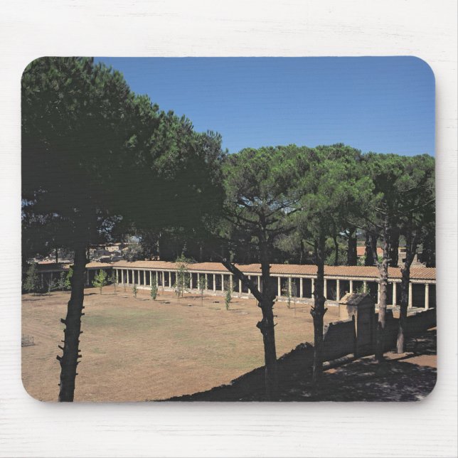 Mousepad O grande Palaestra (Frente)