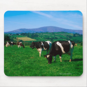 Mousepad O Holstein-Frisão acobarda-se perto de Borris,