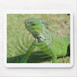 Mousepad O Iguana Verde
