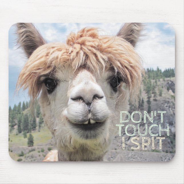 Mousepad O lama engraçado da alpaca não toca no eu cospe (Frente)