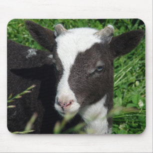 Mousepad O Lamb da Amy