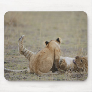 Mousepad O leão (Panthera leo) cubs o jogo na grama, Masai