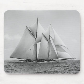 Mousepad O Mayflower