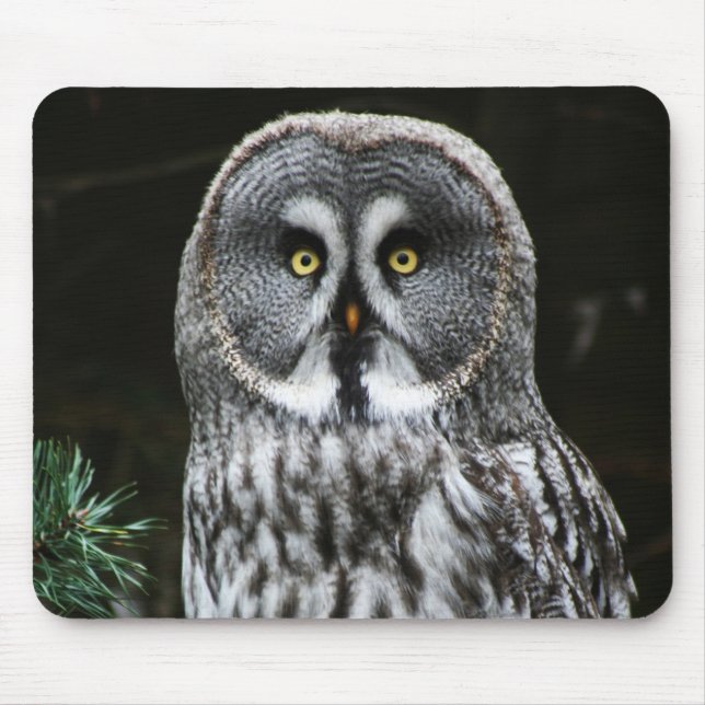 Mousepad O mpcnm da Cinza do Excelente (Frente)