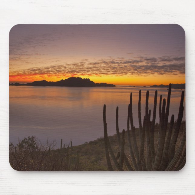 Mousepad O nascer do sol sobre Isla Danzante no Golfo de 2 (Frente)