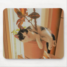 Mousepad O Nibbler é Catnipping