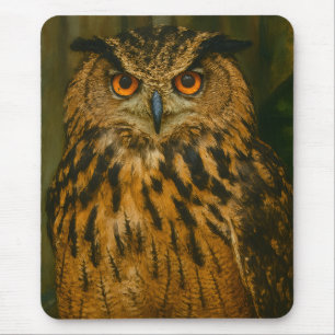 Mousepad O Observador - Eurasian Eagle-Owl na Luz do Woodla