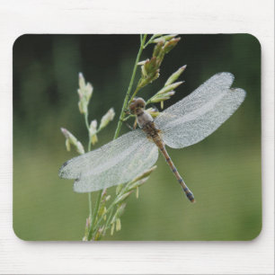Mousepad O orvalho cobriu a libélula de Darner