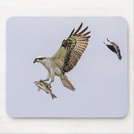 Mousepad O Osprey que está sendo perseguido por um vermelho