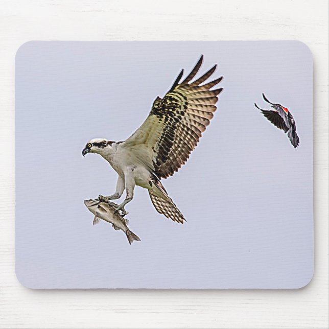 Mousepad O Osprey que está sendo perseguido por um vermelho (Frente)