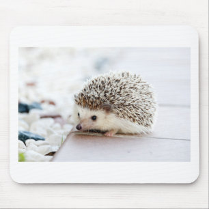 Mousepad O ouriço bonito do bebê