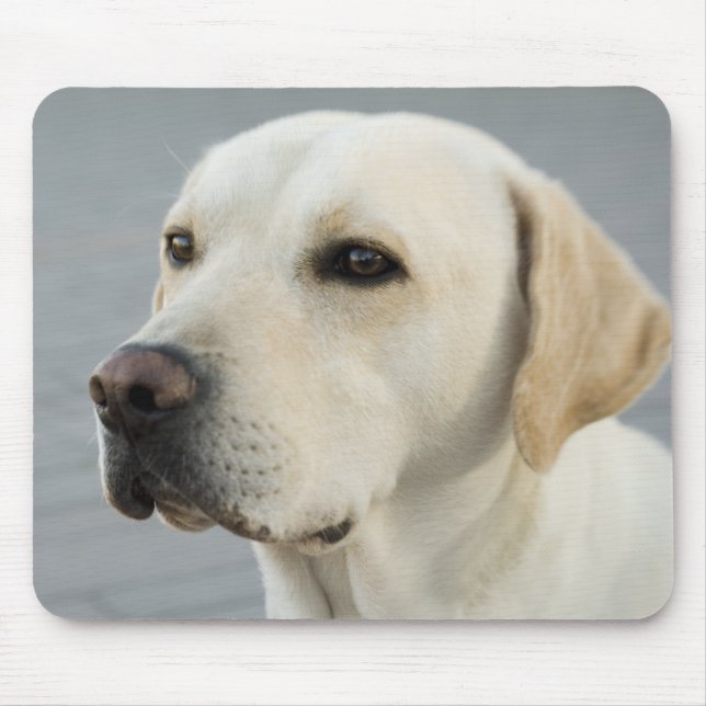 Mousepad O Ouro Labrador (Frente)