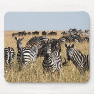 Mousepad O Pad do Mouse Zebra do Grant