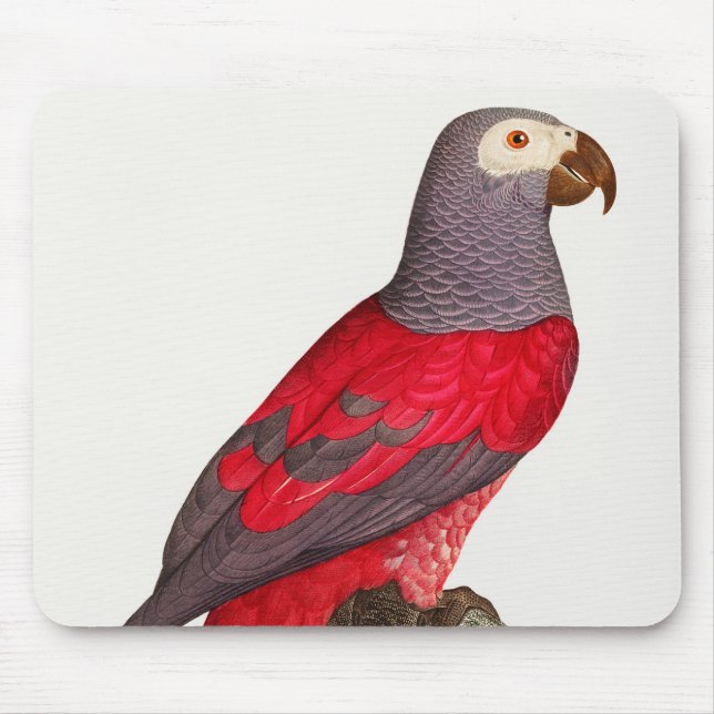 Mousepad O papagaio vermelho da Cinza, Psittacus erithacus (Frente)