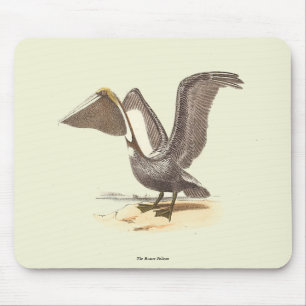 Mousepad O Pelicano marrom (Pelecanus occidentalis) NY Bird