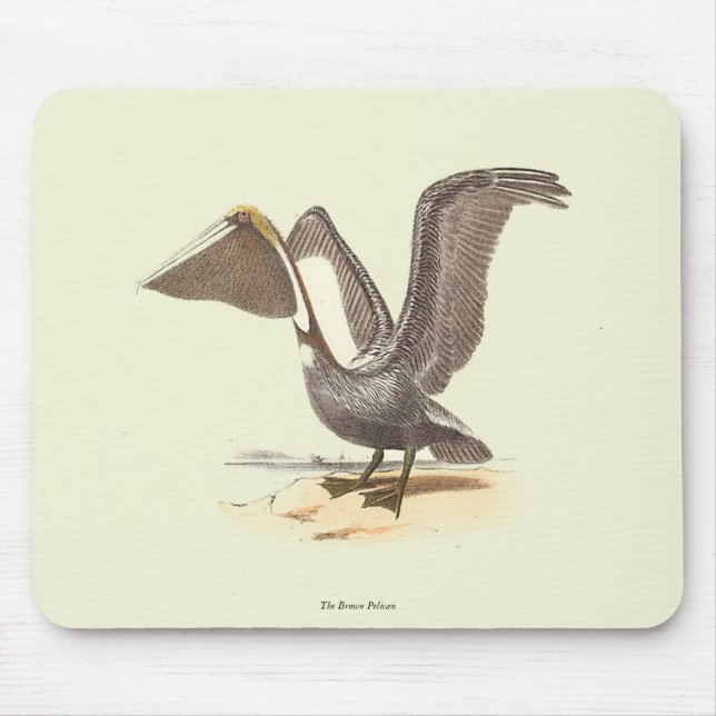 Mousepad O Pelicano marrom (Pelecanus occidentalis) NY Bird (Frente)