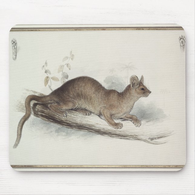 Mousepad O Polecat, século XIX (Frente)