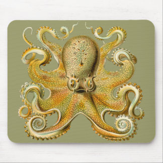 Mousepad O polvo de Ernst Haeckel