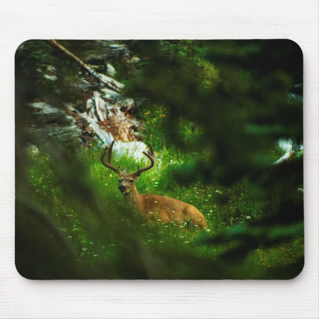 Mousepad O Príncipe da Floresta (Frente)