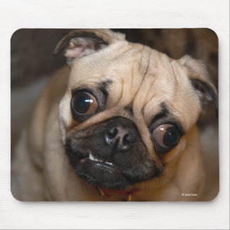 Mousepad O Pug