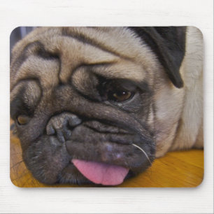 Mousepad O Pug teve um tapete do rato demais