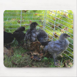 Mousepad O que está acima - bumbum da galinha