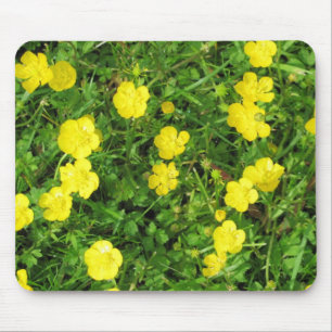 Mousepad O que está acontecendo botão-de-ouro? Flores amare
