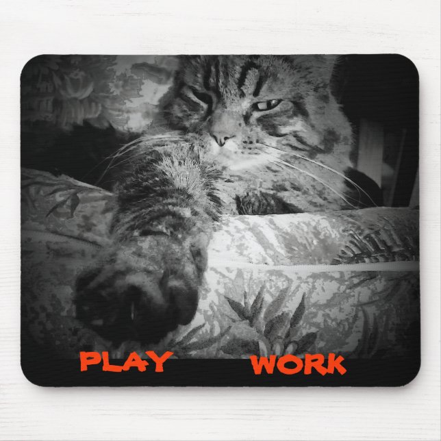Mousepad O que fazer na internet hoje. (Frente)