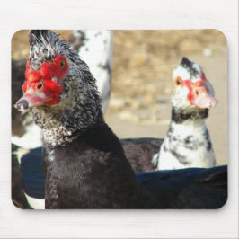 Mousepad "O que você está fazendo?"